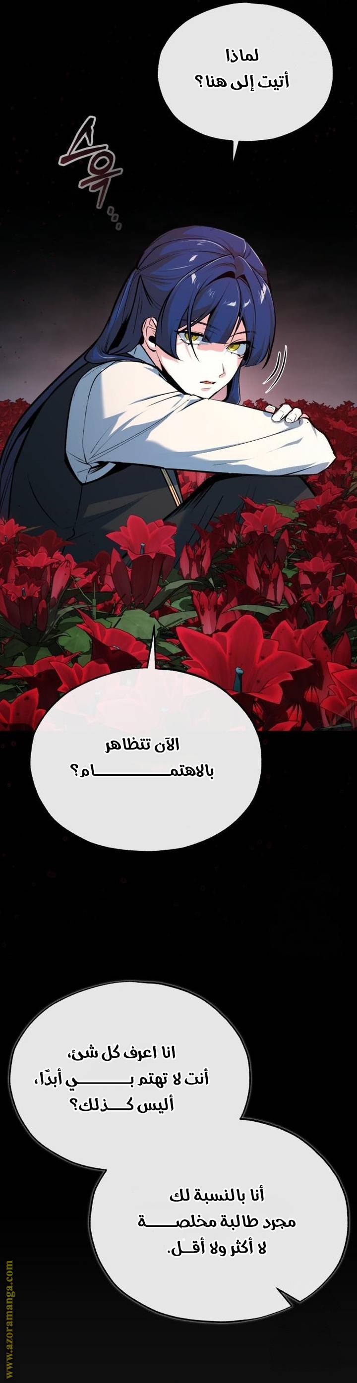 الصفحة 26