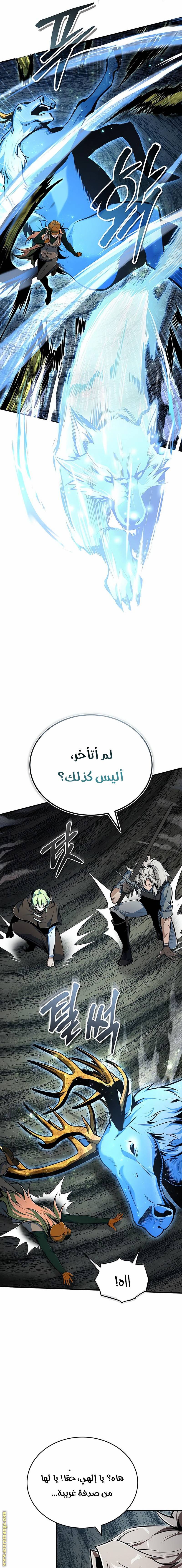 الصفحة 17