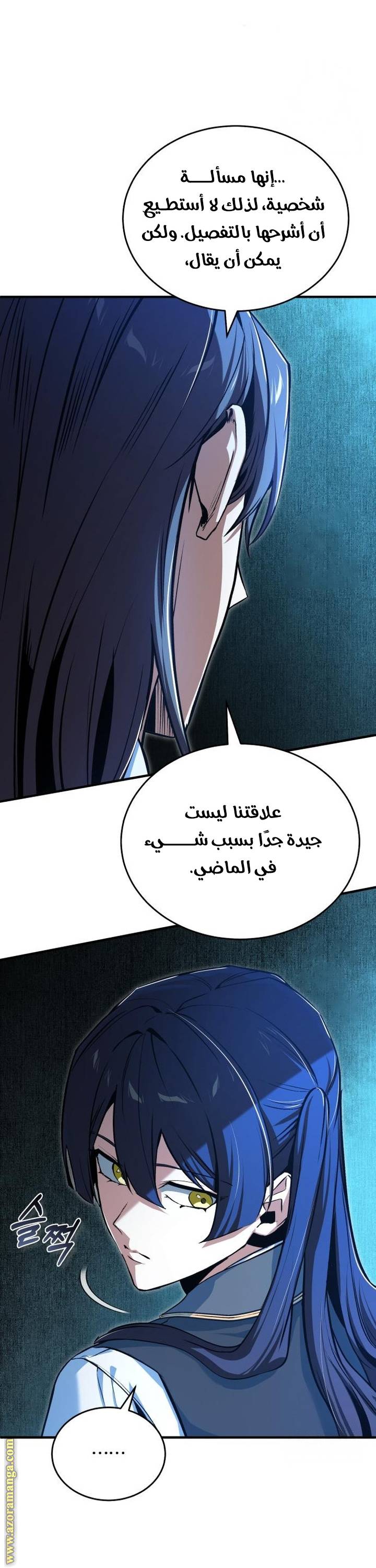 الصفحة 13