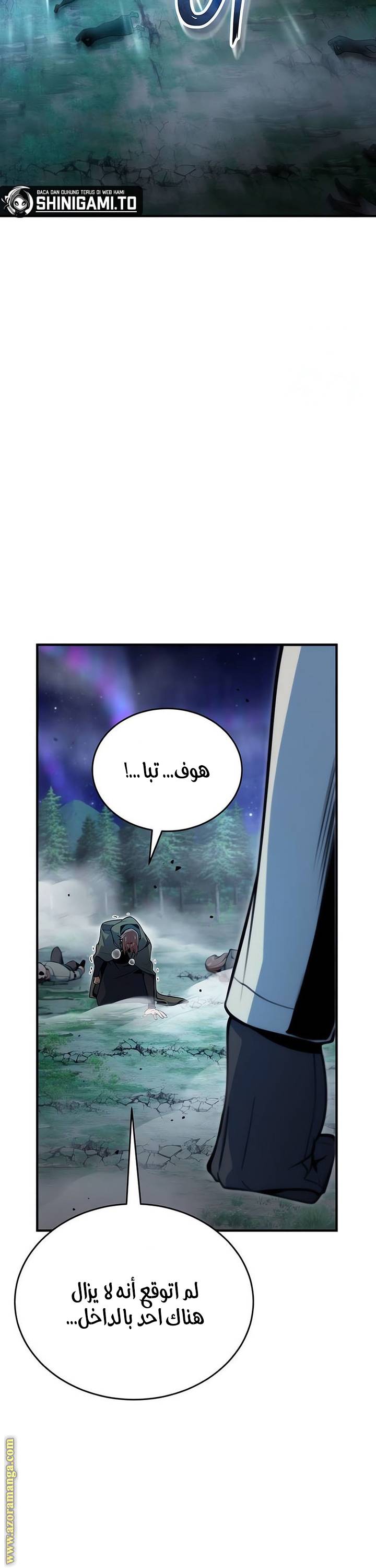 الصفحة 31