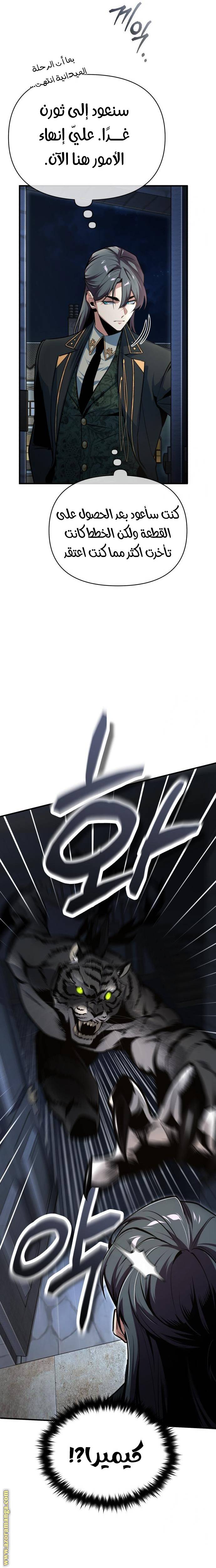 الصفحة 17