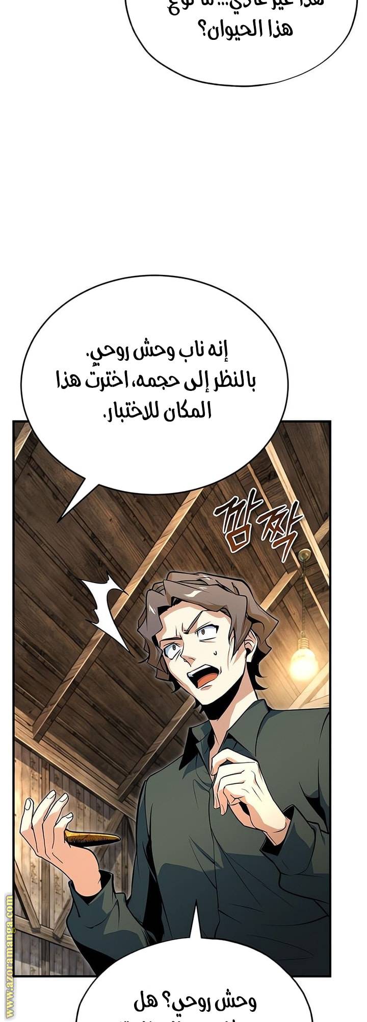 الصفحة 17