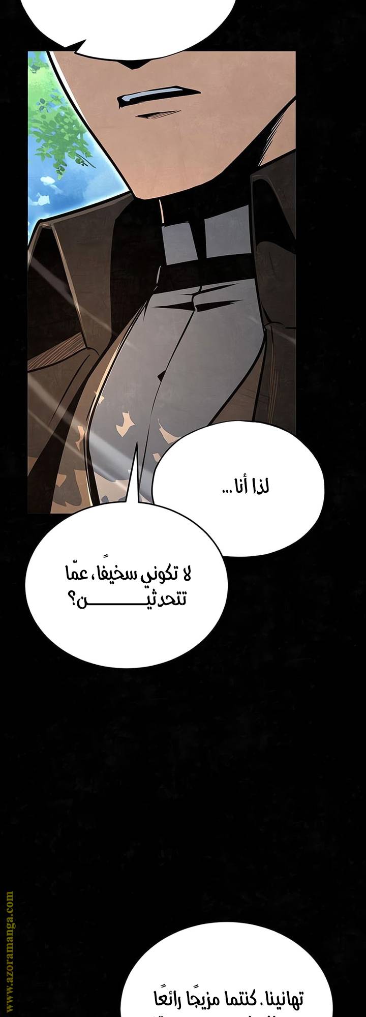 الصفحة 13