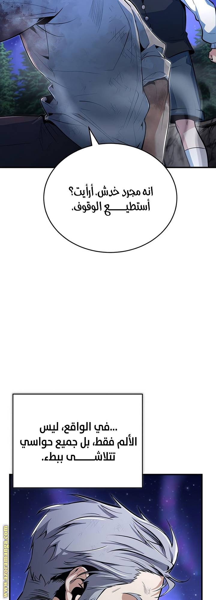 الصفحة 27