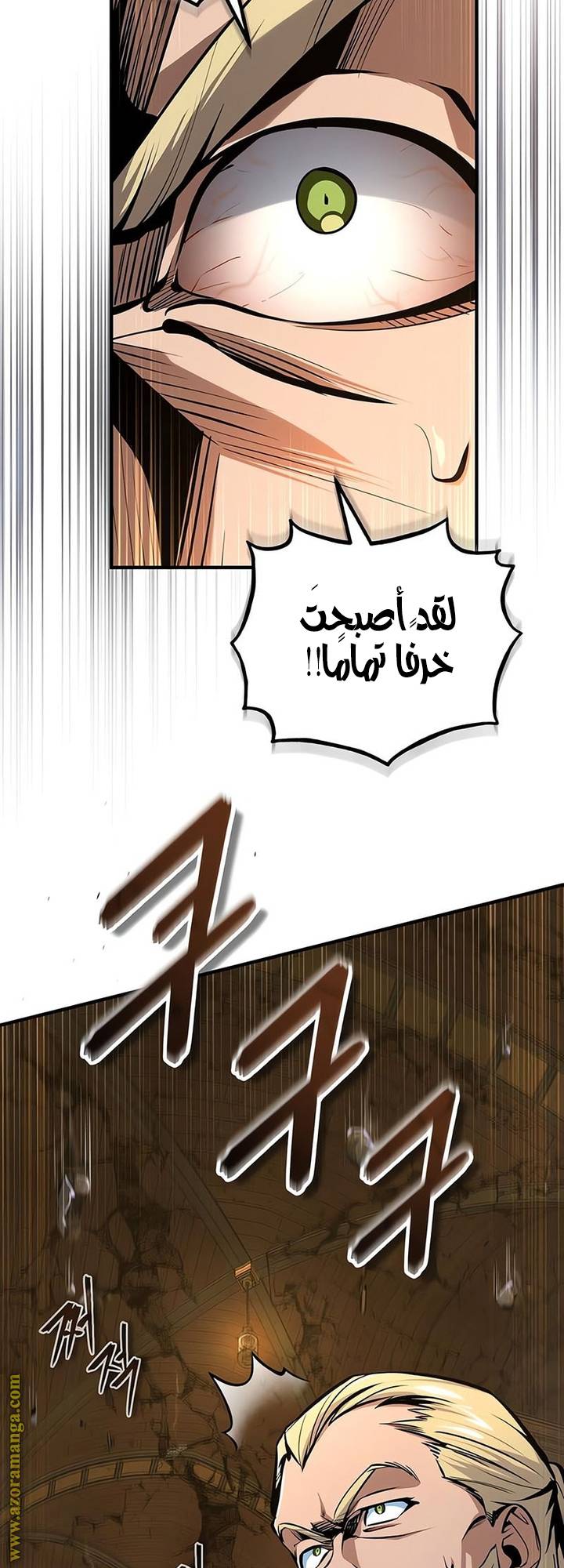 الصفحة 27