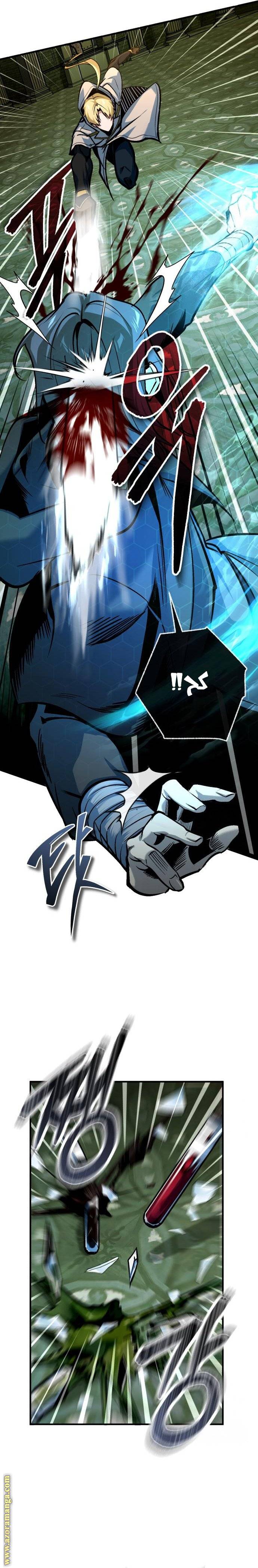 الصفحة 17