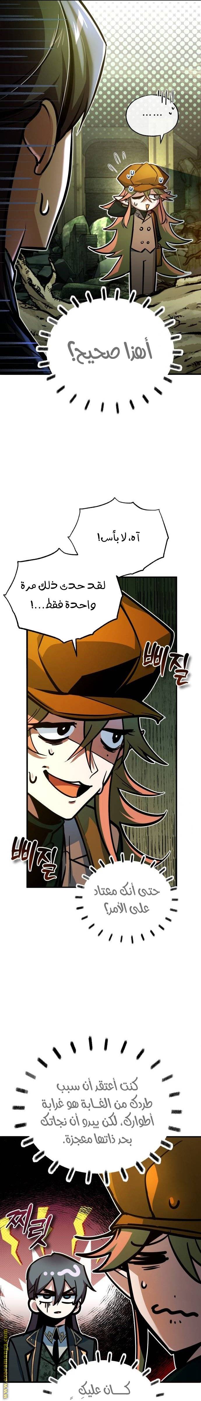 الصفحة 17