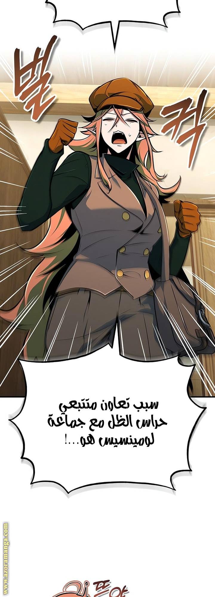 الصفحة 11