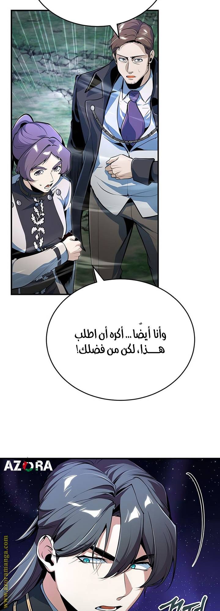 الصفحة 13