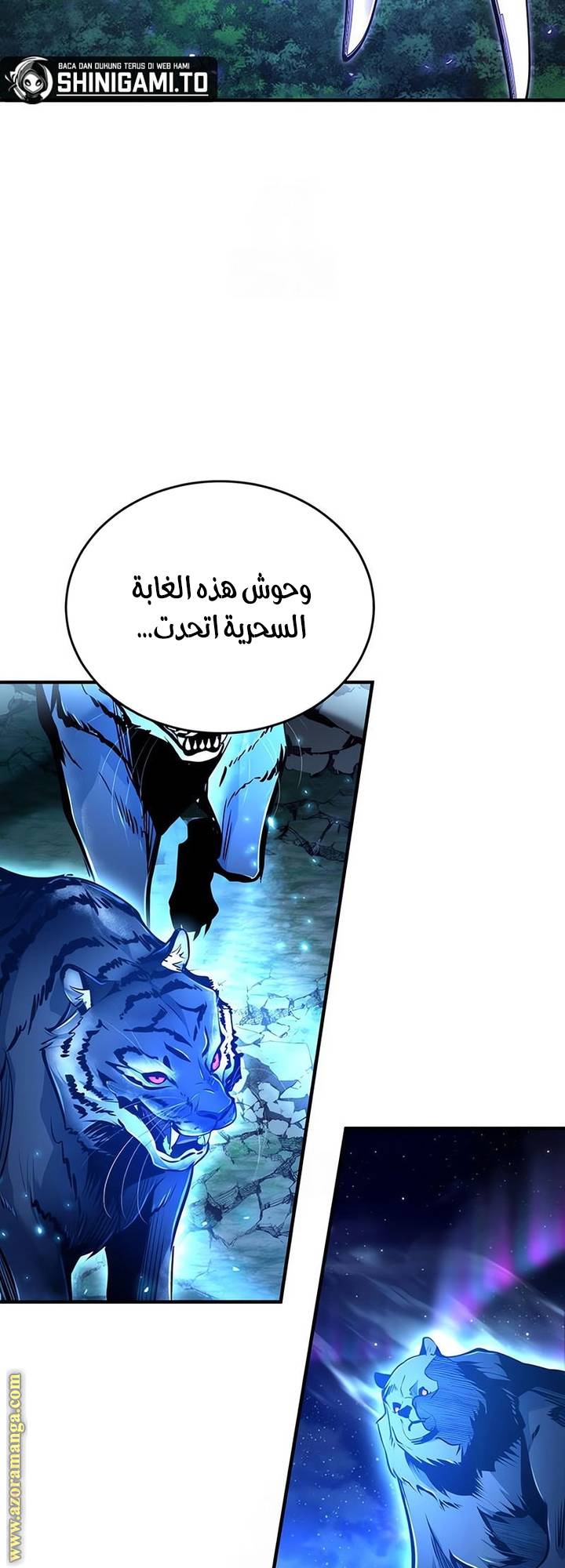 الصفحة 17