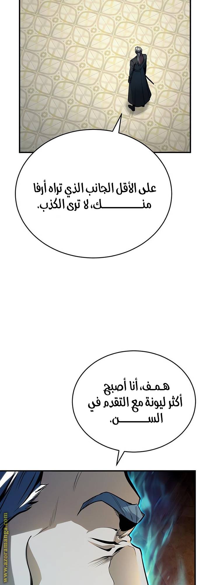 الصفحة 17
