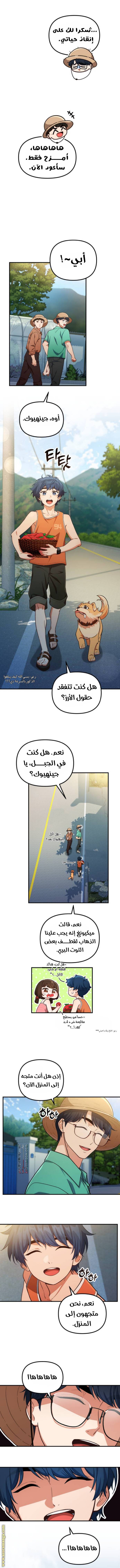 الصفحة 3