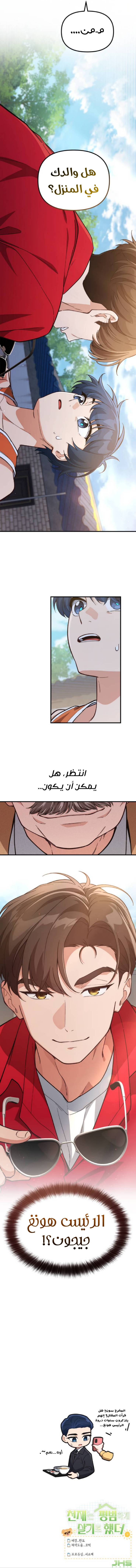 الصفحة 13