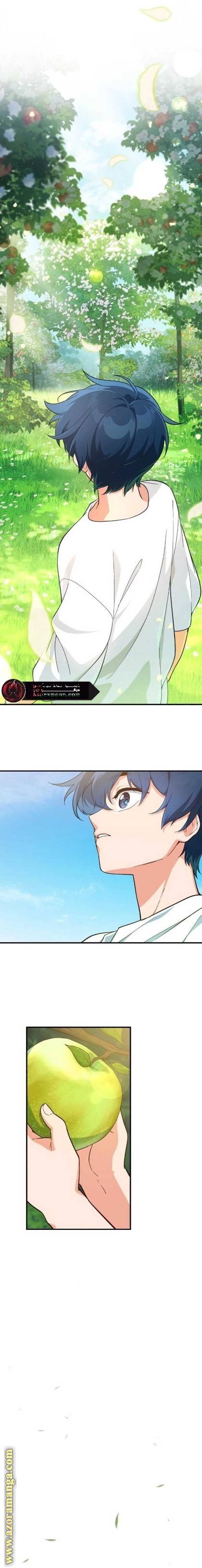 الصفحة 13