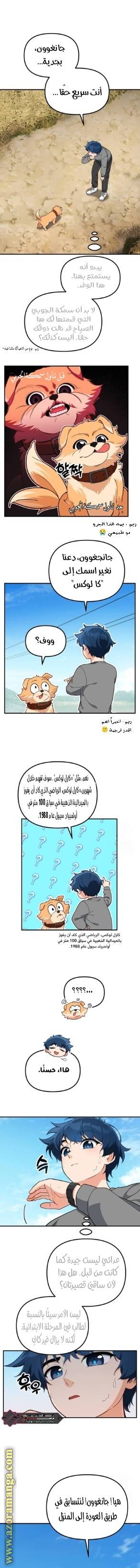 الصفحة 13