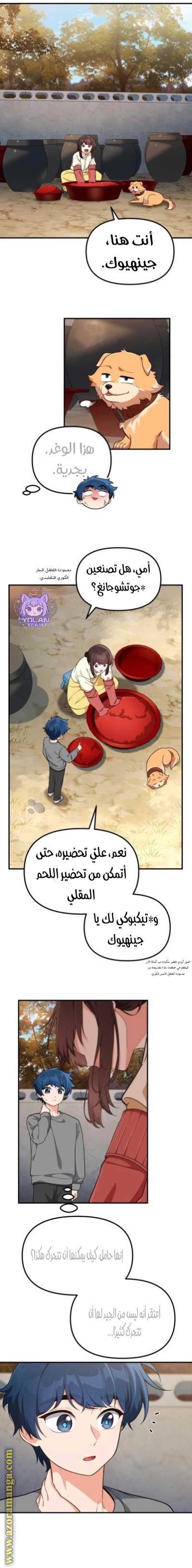 الصفحة 17