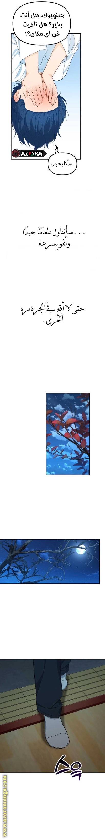 الصفحة 21