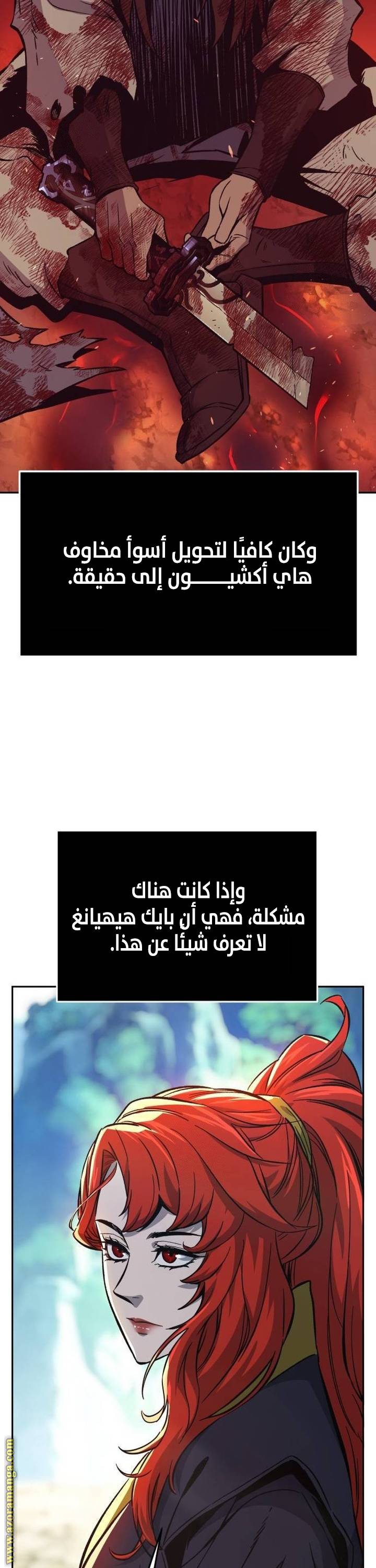 الصفحة 17