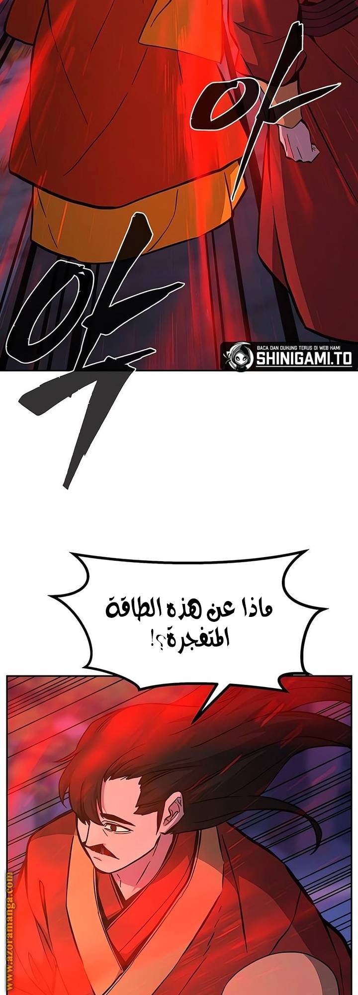 الصفحة 46