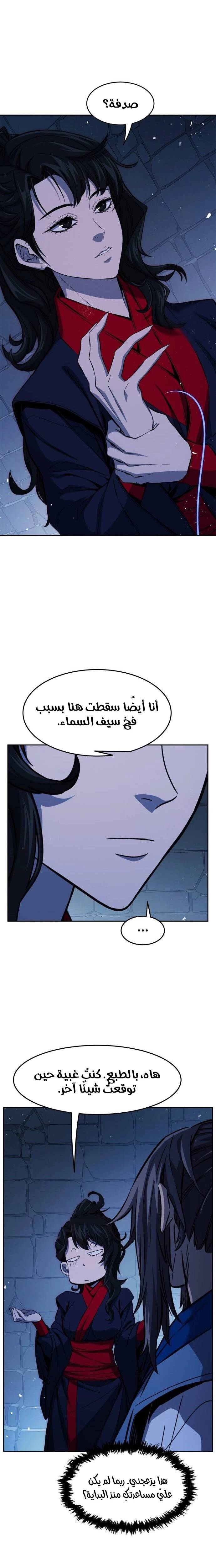 الصفحة 17