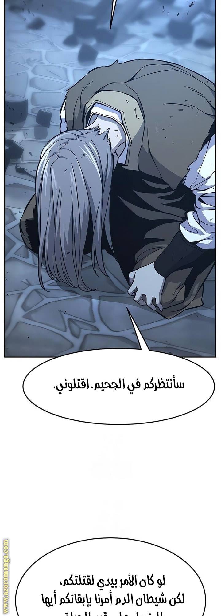 الصفحة 17
