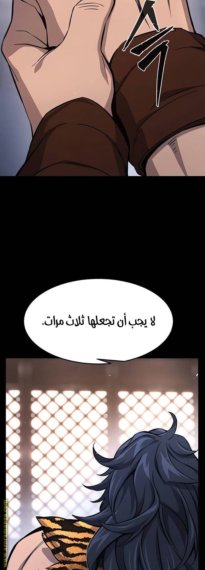 الصفحة 29