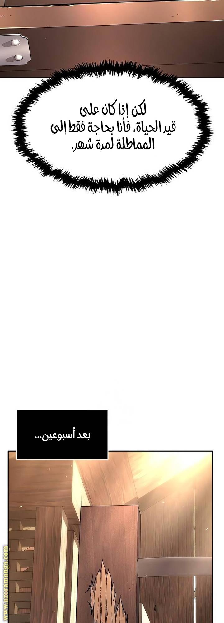 الصفحة 41