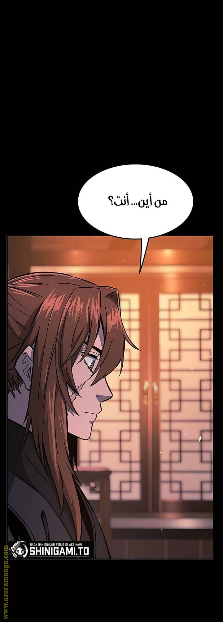 الصفحة 17