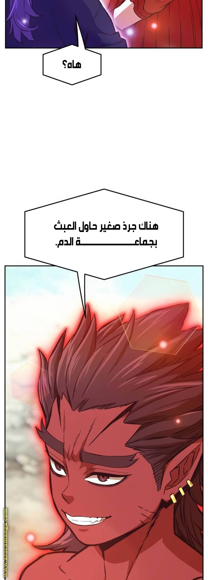 الصفحة 13