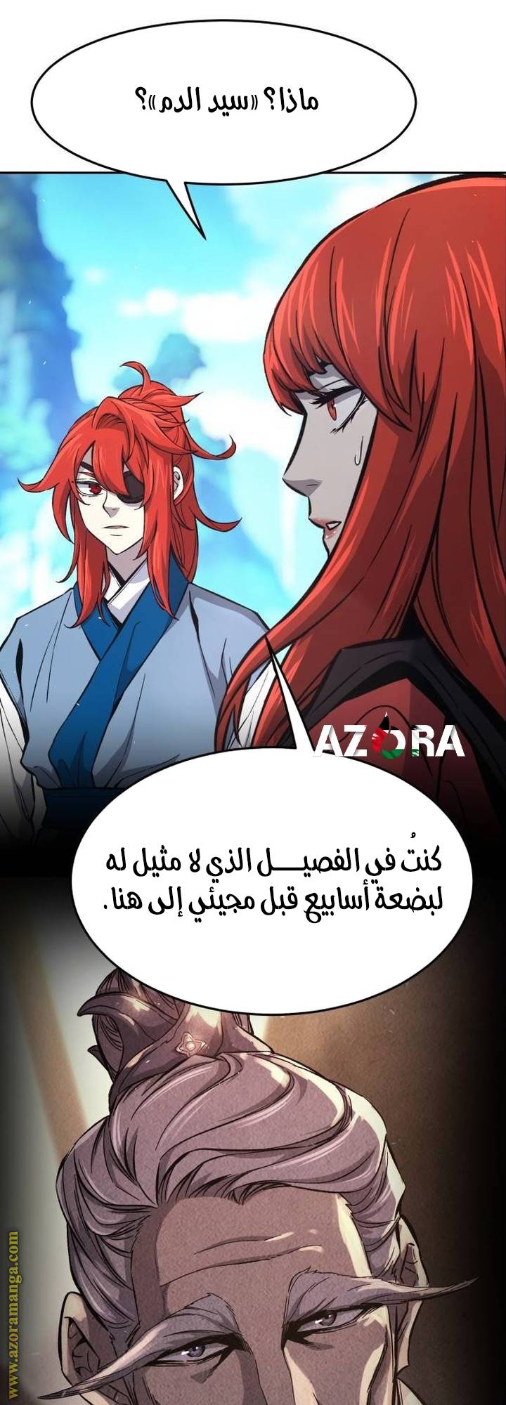 الصفحة 29