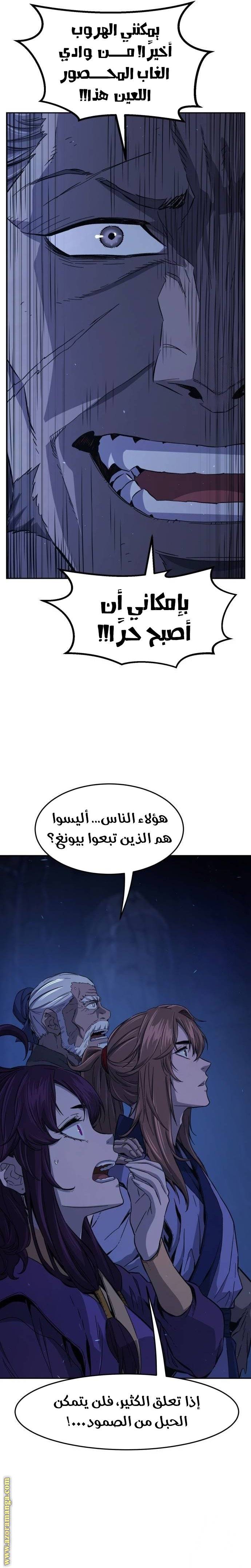 الصفحة 17