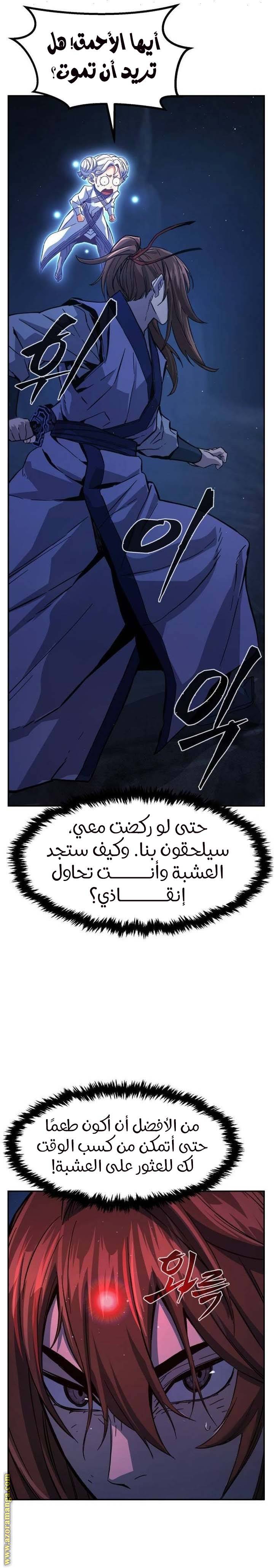 الصفحة 13