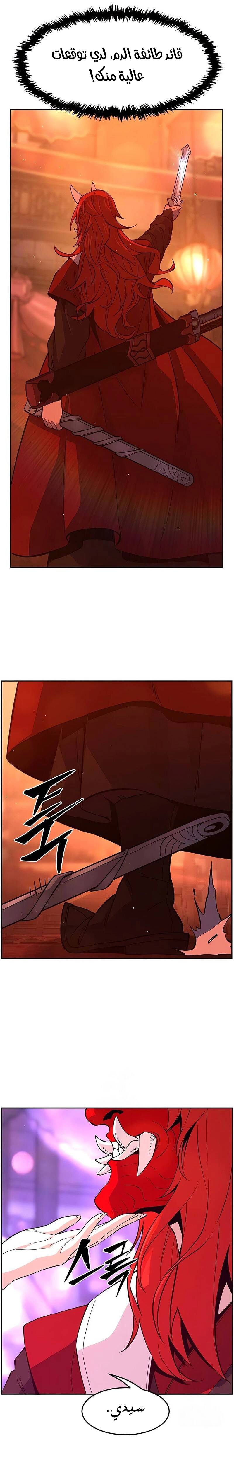 الصفحة 17