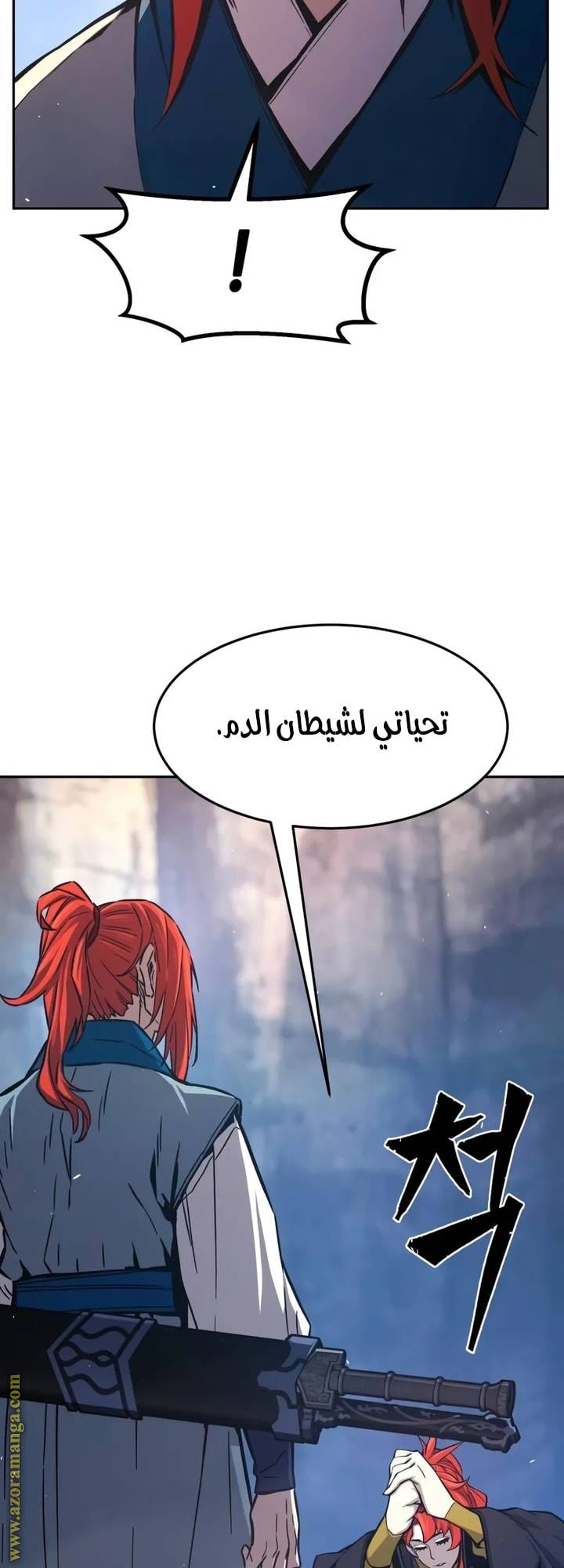 الصفحة 14