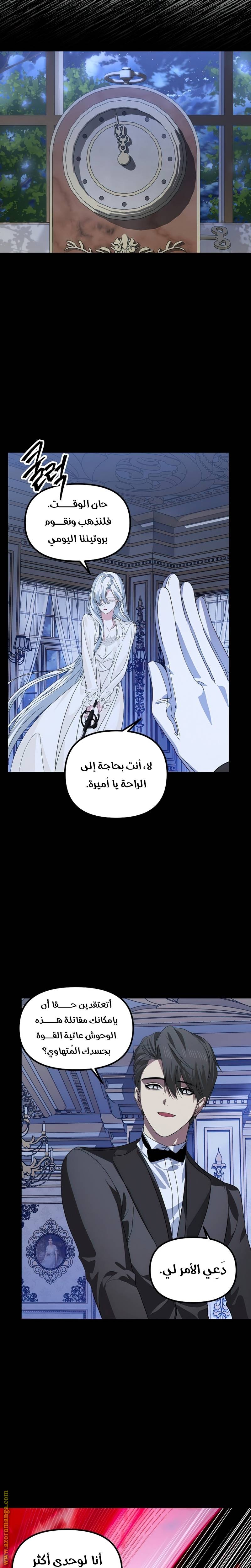 الصفحة 17