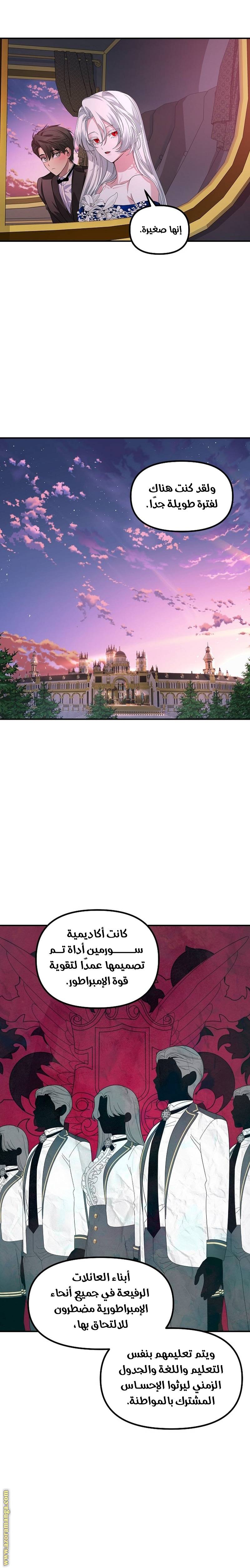 الصفحة 12