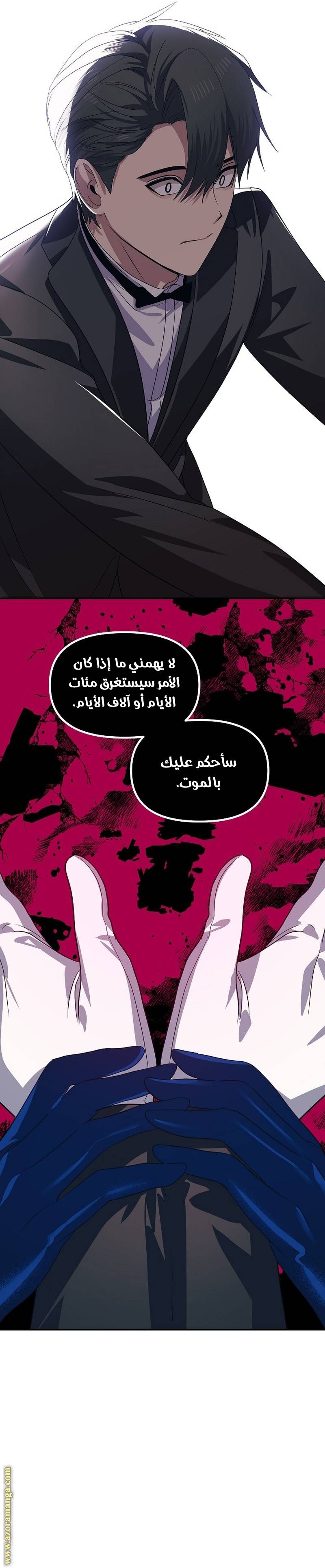 الصفحة 17