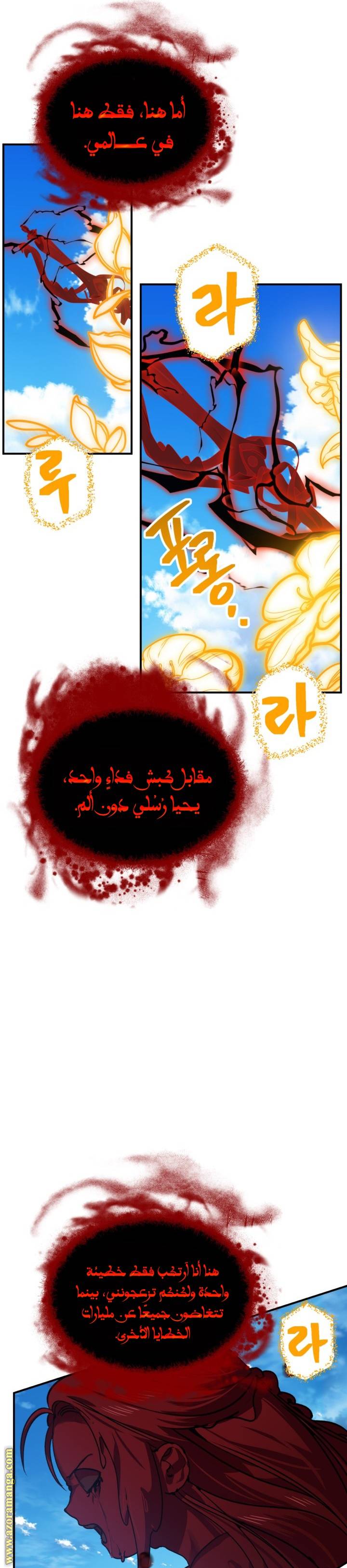 الصفحة 29