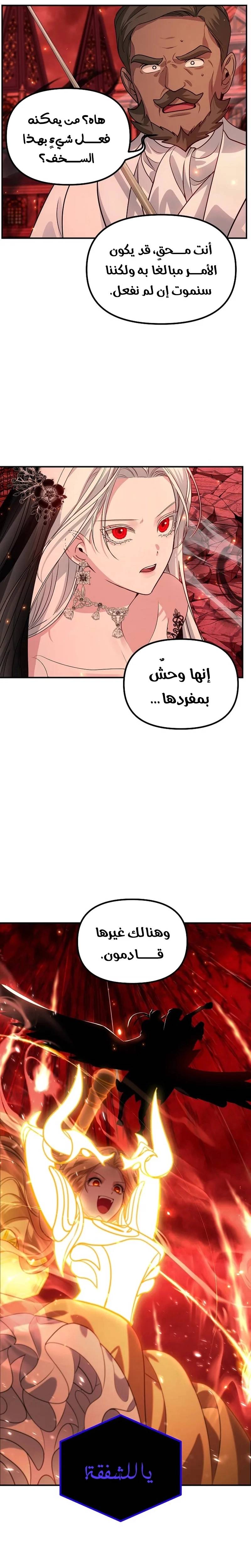 الصفحة 20