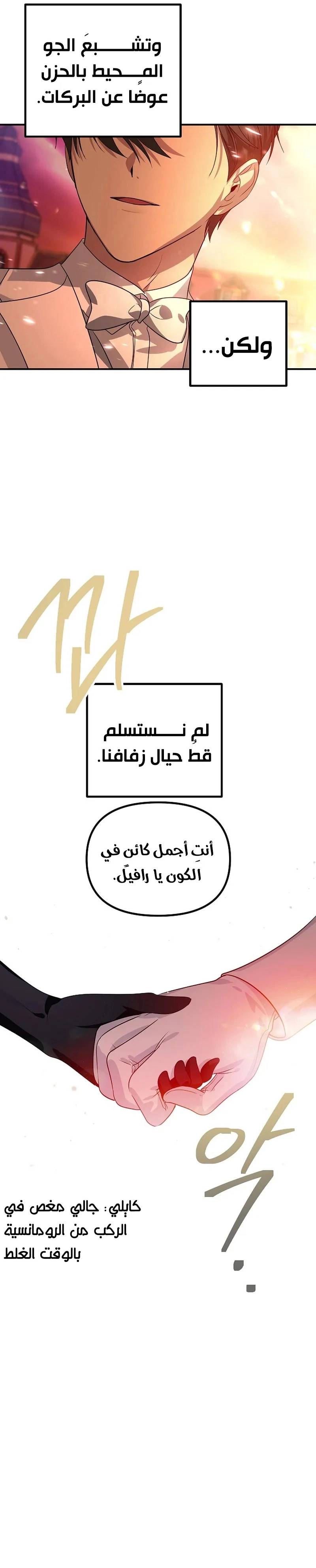 الصفحة 31