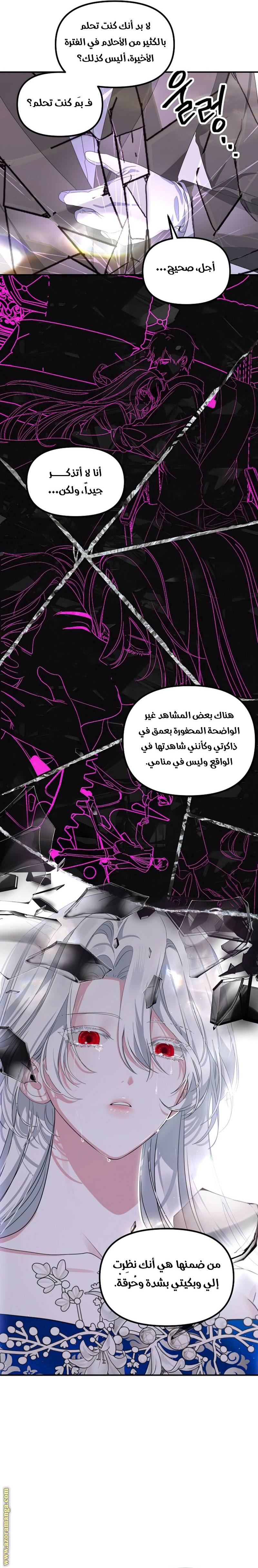 الصفحة 19