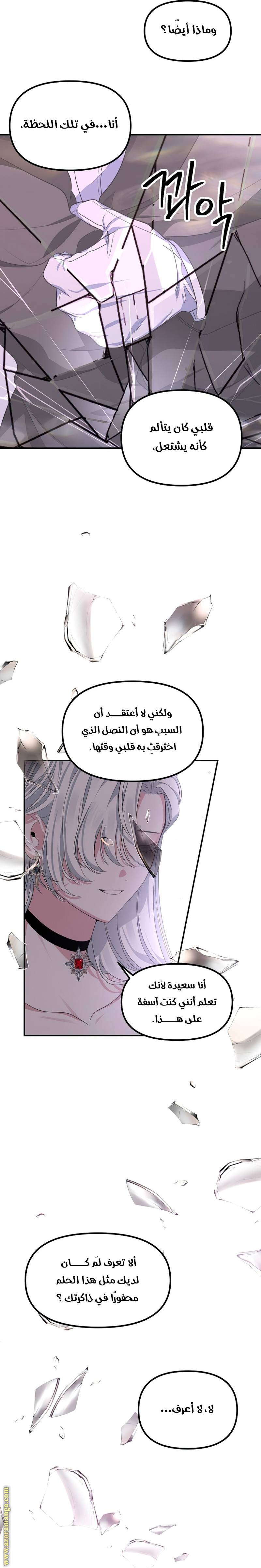 الصفحة 20