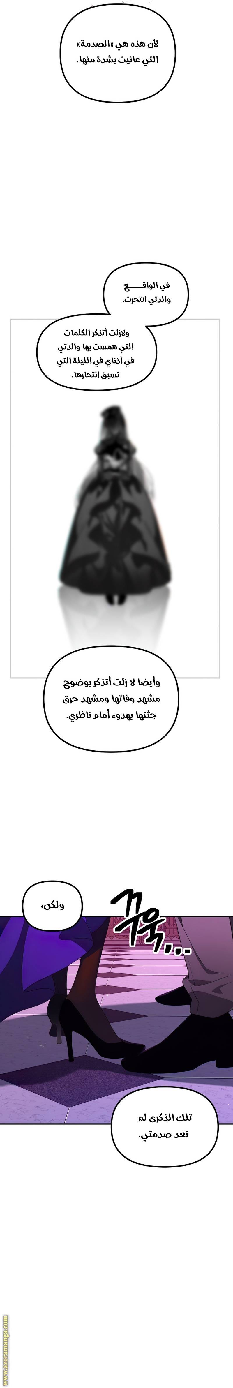الصفحة 21