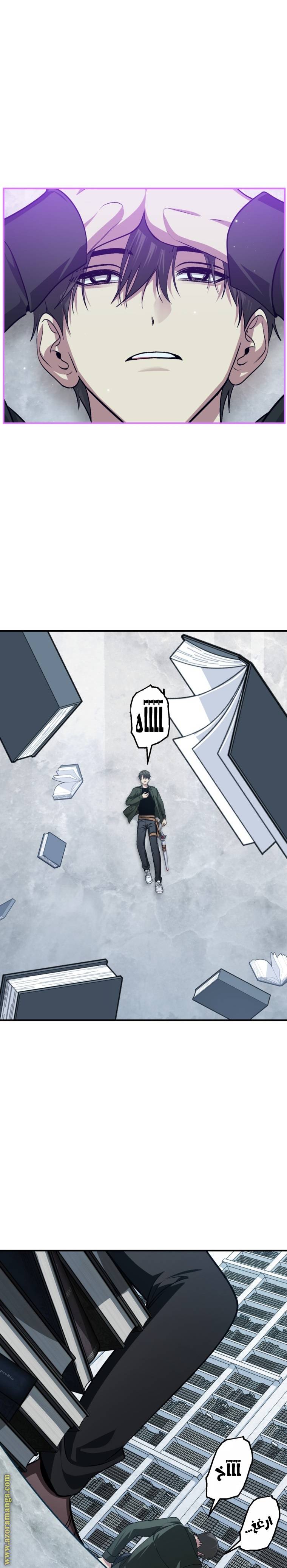 الصفحة 17