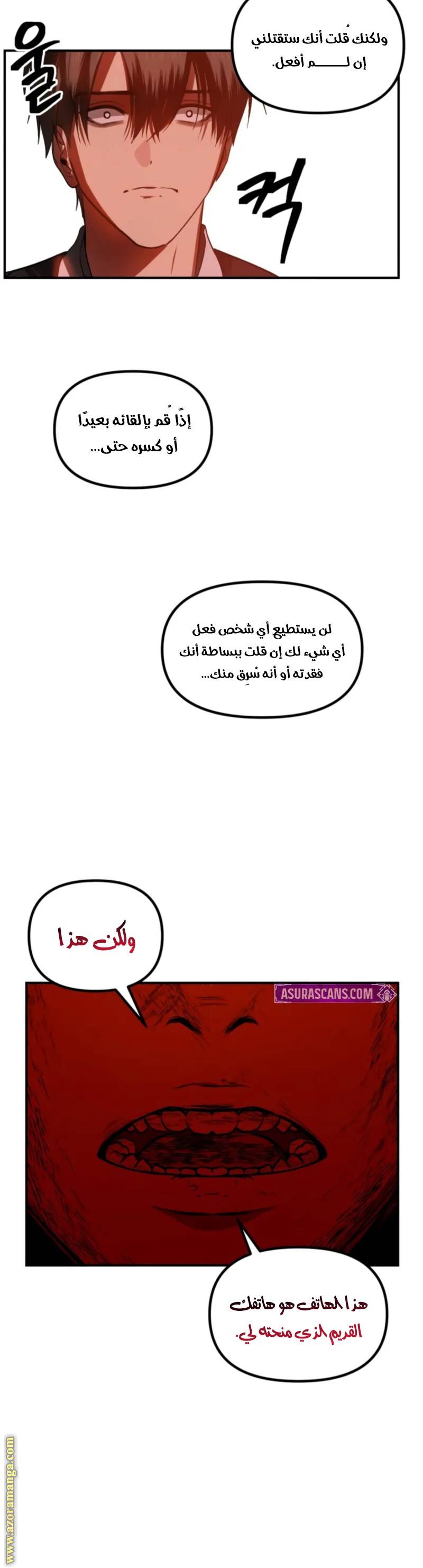 الصفحة 30