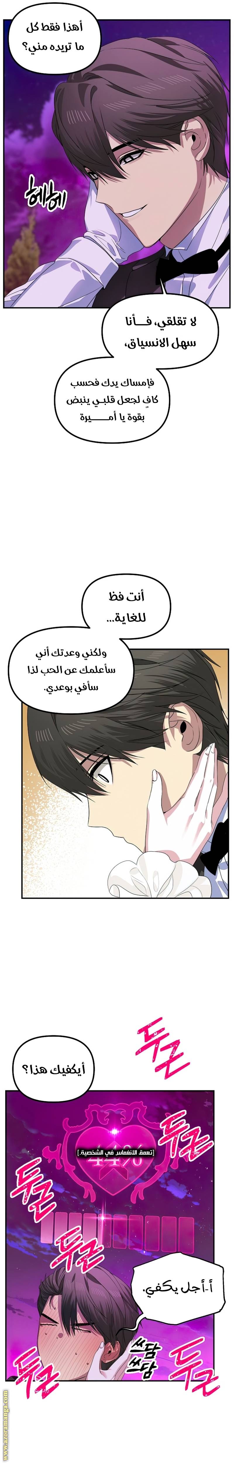 الصفحة 17