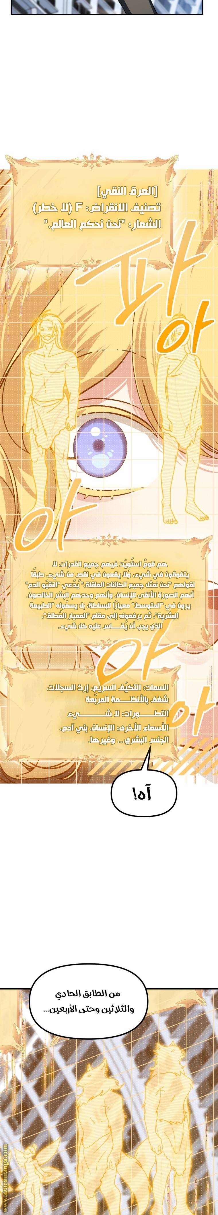 الصفحة 17