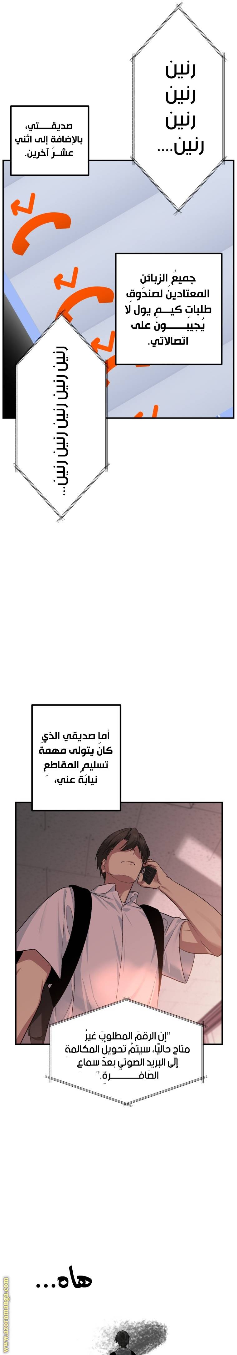 الصفحة 19