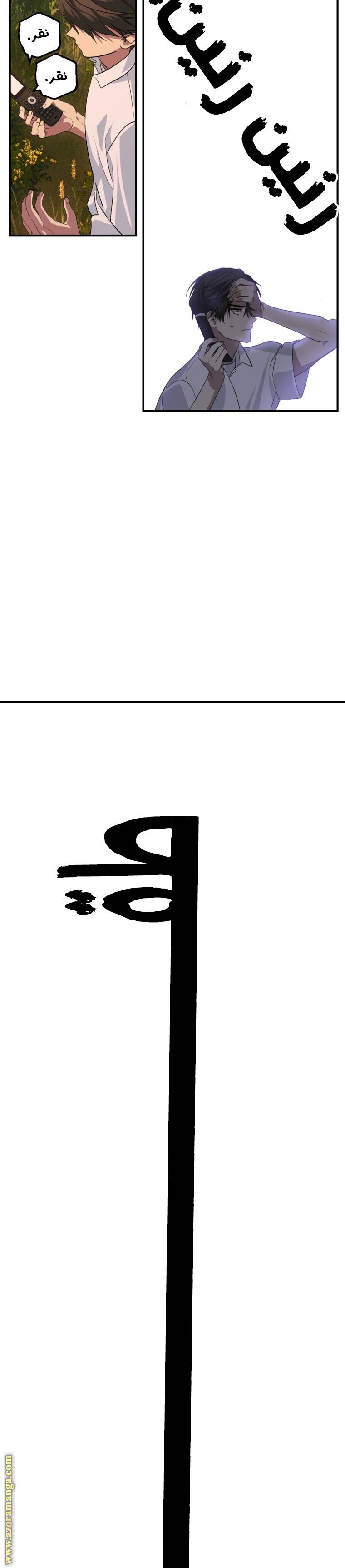 الصفحة 29
