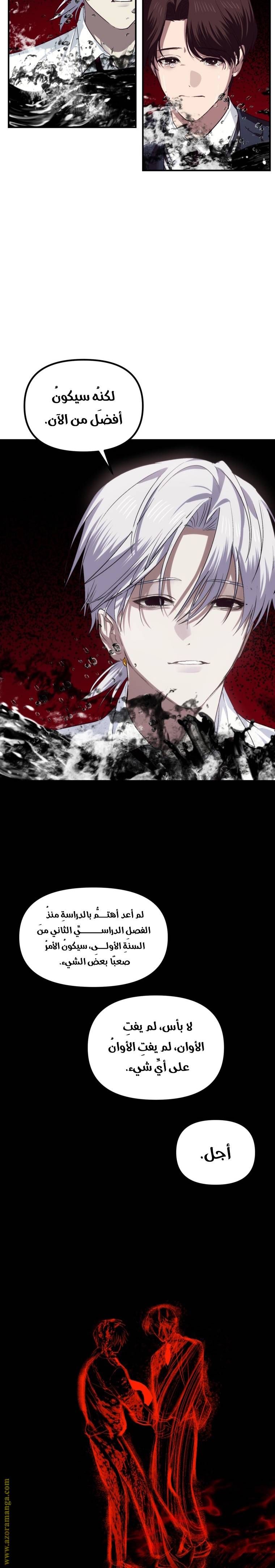الصفحة 29